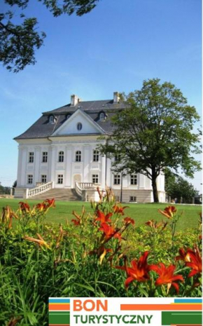 Отель Hotel Pałac Borynia  Ястшембе-Здруй